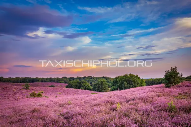 Taxi van Oosterbeek naar Schiphol Airport