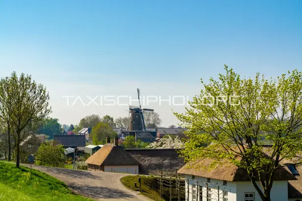 Taxi van Tiel naar Schiphol Airport